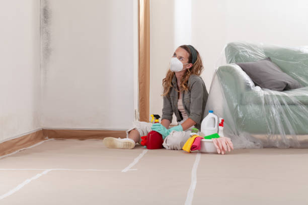 Reliable Mold Remediation contractor in Metuchen, NJ by WQB Mold Removal